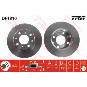 Jeu de 2 disques de frein avant TRW DF1810