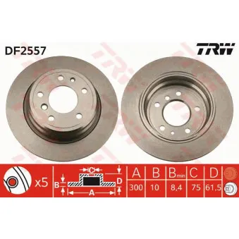 Jeu de 2 disques de frein arrière TRW
