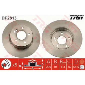 Jeu de 2 disques de frein arrière TRW DF2813