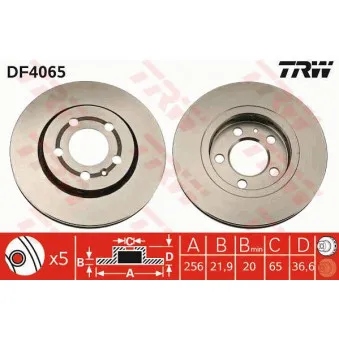 Jeu de 2 disques de frein arrière TRW DF4065