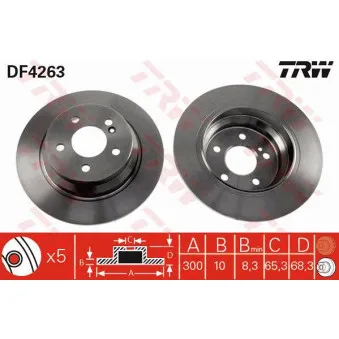 Jeu de 2 disques de frein arrière TRW DF4263
