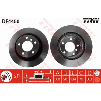 Jeu de 2 disques de frein arrière TRW DF4450
