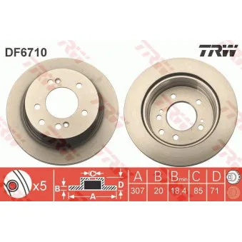 Jeu de 2 disques de frein arrière TRW DF6710