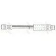 Flexible de frein TRW PHA288 - Visuel 2