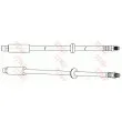 Flexible de frein TRW PHB213 - Visuel 2