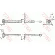 Flexible de frein TRW PHD954 - Visuel 2