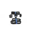 Kit de distribution AISIN TSZ-902 - Visuel 2