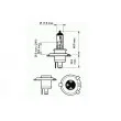 Ampoule, projecteur longue portée SCT GERMANY 202792 - Visuel 2