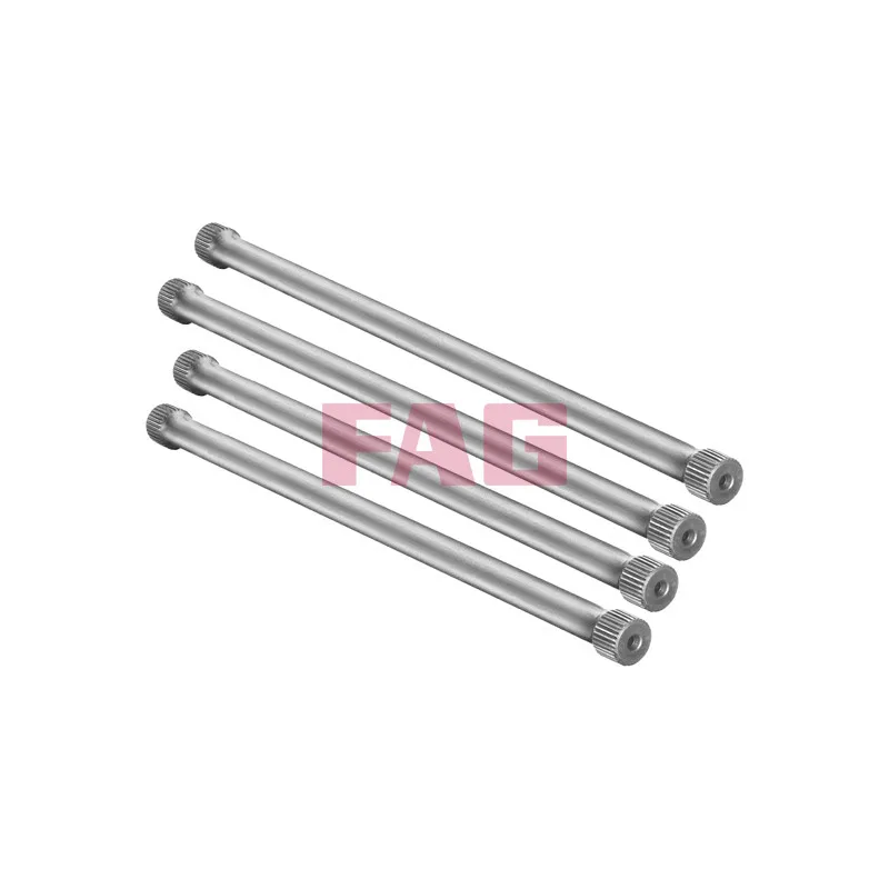 Jeu de suspensions, ressorts FAG 813 0001 30