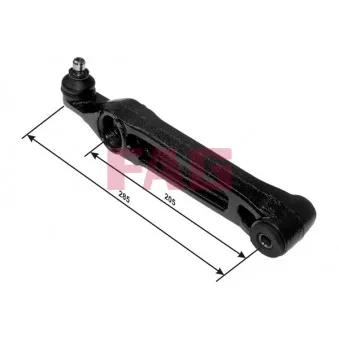 Triangle ou bras de suspension (train avant) FAG 821 0289 10