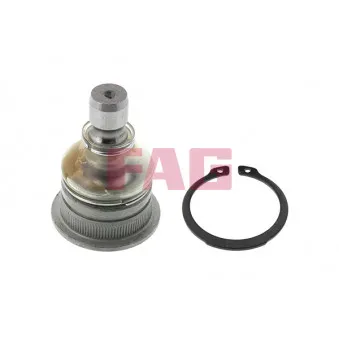 Rotule de suspension FAG 825 0309 10