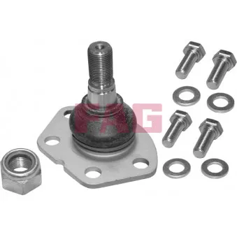 Rotule de suspension FAG 825 0319 10