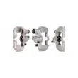 Étrier de frein REMY DC73100 - Visuel 2