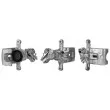 Étrier de frein REMY DC73956 - Visuel 2