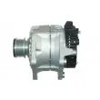 Alternateur REMY DRA0194 - Visuel 3