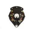 Alternateur REMY DRA0272 - Visuel 1