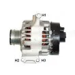 Alternateur REMY DRA0368 - Visuel 3