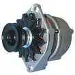 Alternateur REMY DRA0610 - Visuel 2