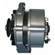 Alternateur REMY DRA0690 - Visuel 3