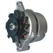 Alternateur REMY DRA0880 - Visuel 2
