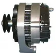 Alternateur REMY DRA1831 - Visuel 3