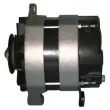 Alternateur REMY DRA3135 - Visuel 3