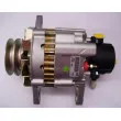 Alternateur REMY DRA3208 - Visuel 3