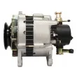 Alternateur REMY DRA3333 - Visuel 3