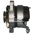 Alternateur REMY DRA3349 - Visuel 3