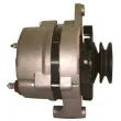 Alternateur REMY DRA3537 - Visuel 3