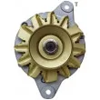 Alternateur REMY DRA3848 - Visuel 2