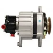 Alternateur REMY DRA4064 - Visuel 3