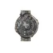 Alternateur REMY DRA4168 - Visuel 1