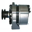 Alternateur REMY DRA4220 - Visuel 3