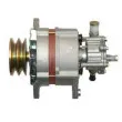 Alternateur REMY DRA4234 - Visuel 3