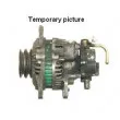 Alternateur REMY DRA4268 - Visuel 3