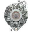 Alternateur REMY DRA4480 - Visuel 2