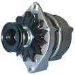 Alternateur REMY DRA4560 - Visuel 2
