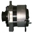 Alternateur REMY DRA4810 - Visuel 3
