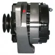 Alternateur REMY DRA4831 - Visuel 3