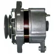Alternateur REMY DRA5760 - Visuel 3