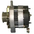 Alternateur REMY DRA7311 - Visuel 3