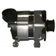 Alternateur REMY DRA8330 - Visuel 3