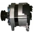 Alternateur REMY DRA9481 - Visuel 3