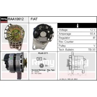 Alternateur REMY RAA10612