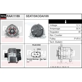 Alternateur REMY RAA11189