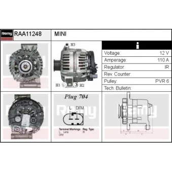 Alternateur REMY RAA11248