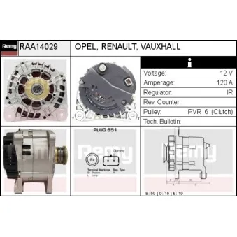 Alternateur REMY RAA14029
