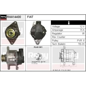 Alternateur REMY RAA14400