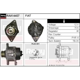 Alternateur REMY RAA14407